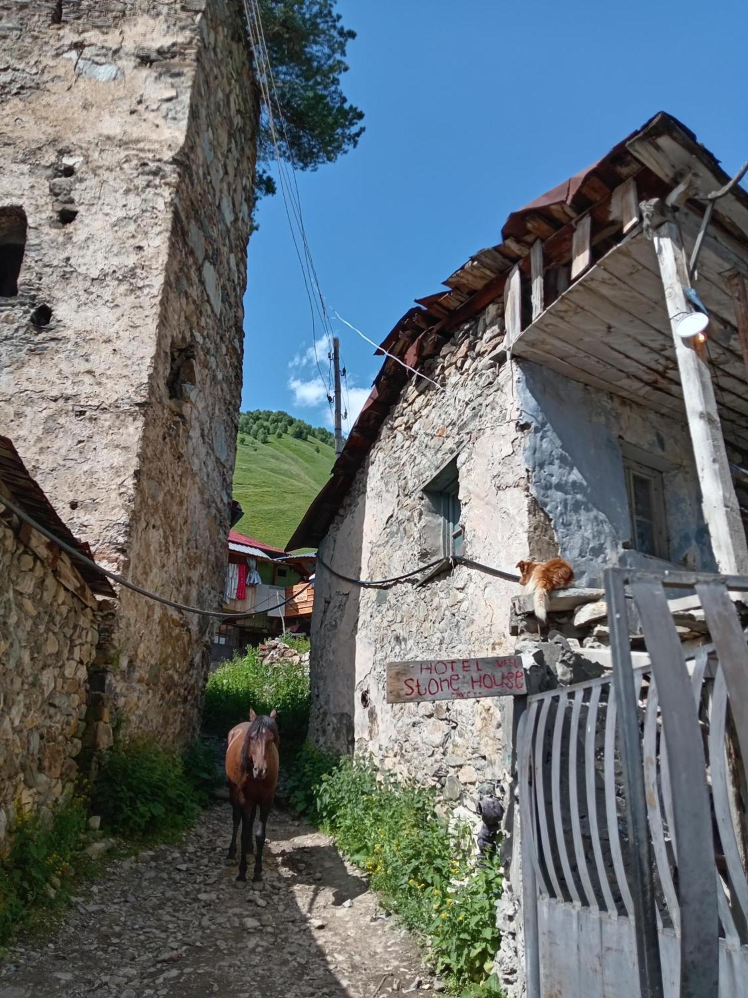 Stone House Marexi Otel Adishi Dış mekan fotoğraf