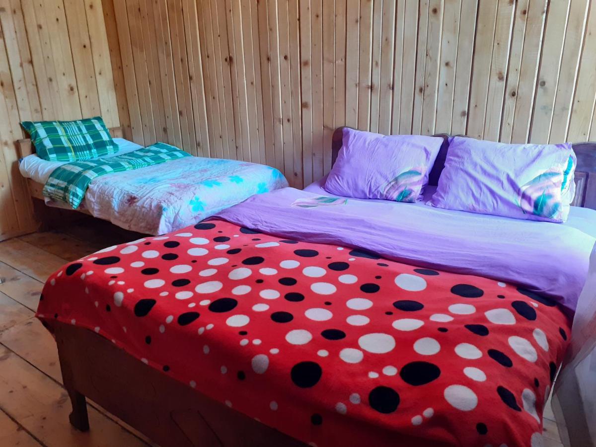 Stone House Marexi Otel Adishi Dış mekan fotoğraf